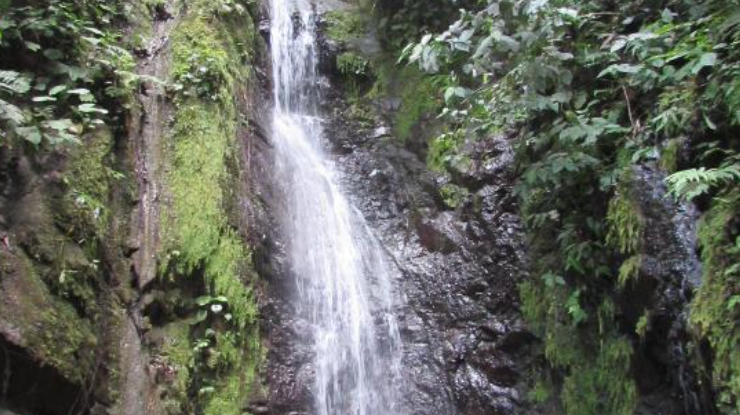 Our Favorite Escapes