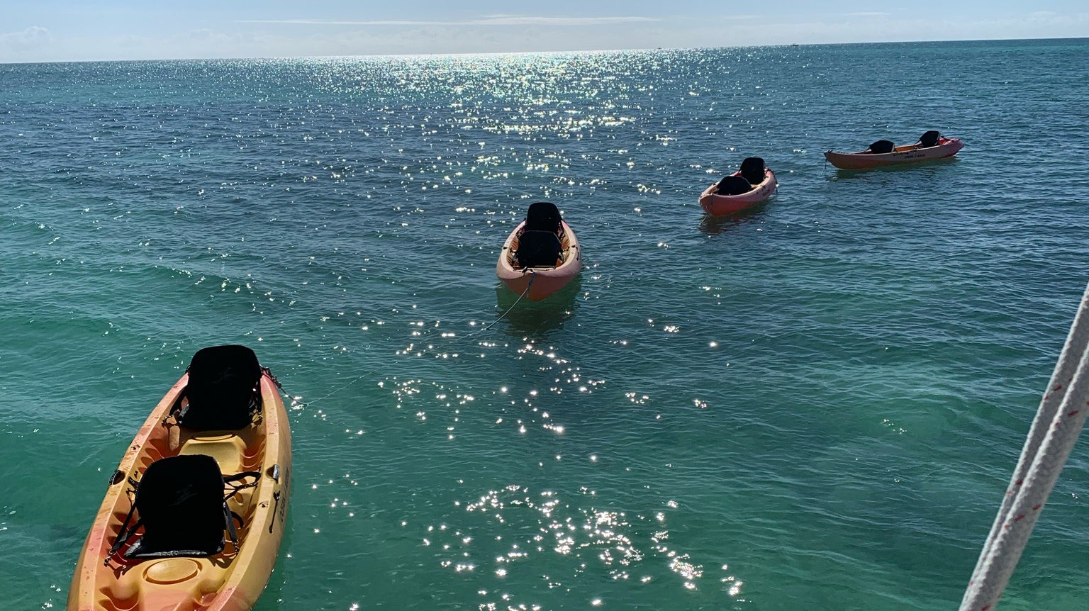 Great Kayaking Adventures in Florida