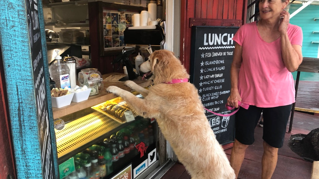 29 Favorites about Key West.