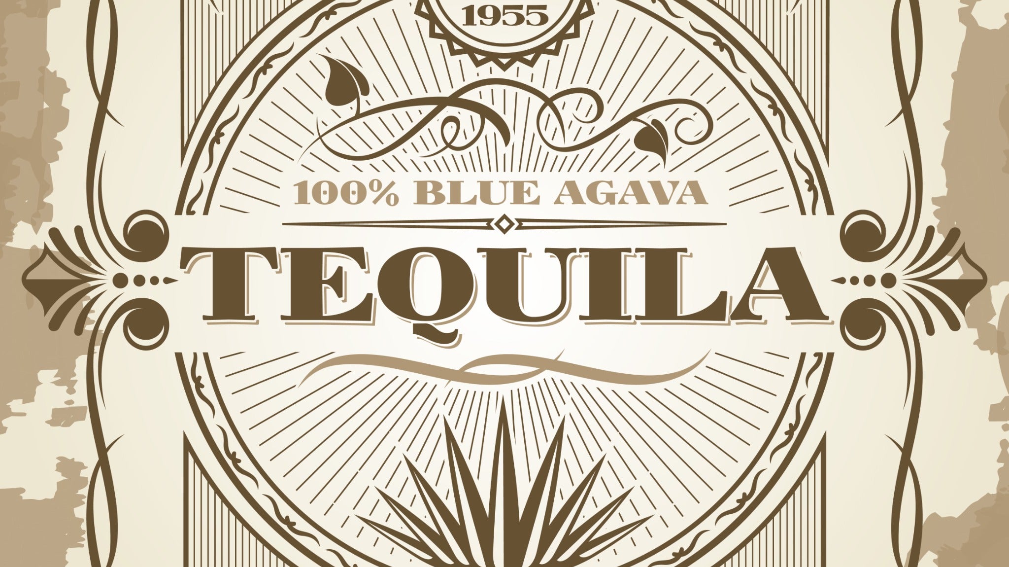 Tasty Tequila Cocktail Recipes