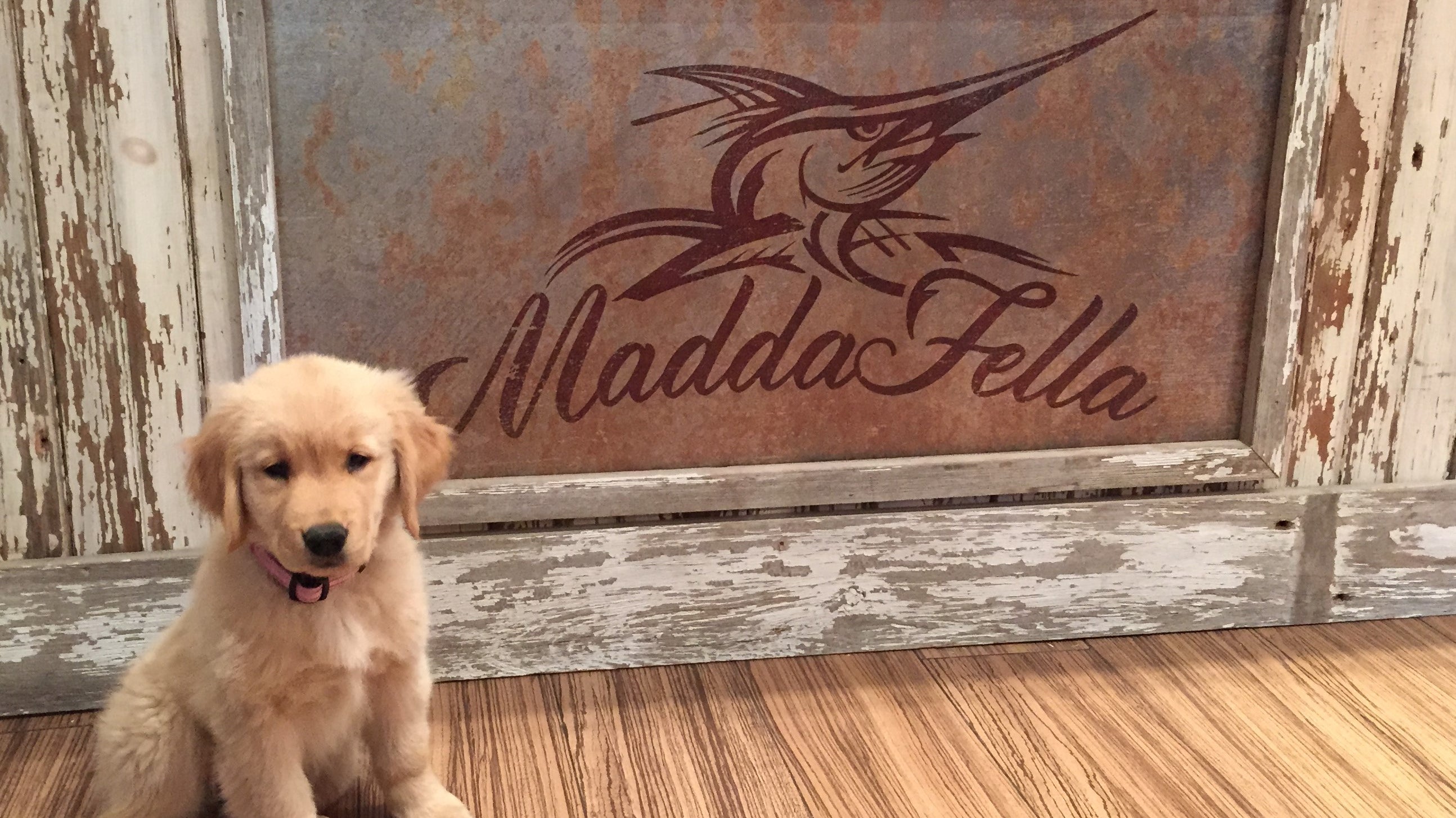 Celebrate Small Business this Weekend!