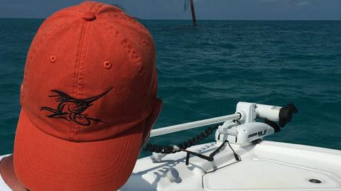 …found your sailboat, and a few “cudas”.