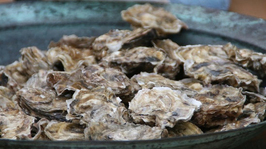 The Power of the Oyster