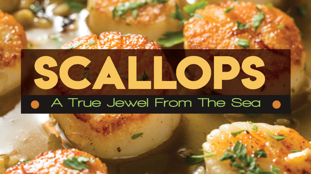 Everything You Need to Know About Scallops