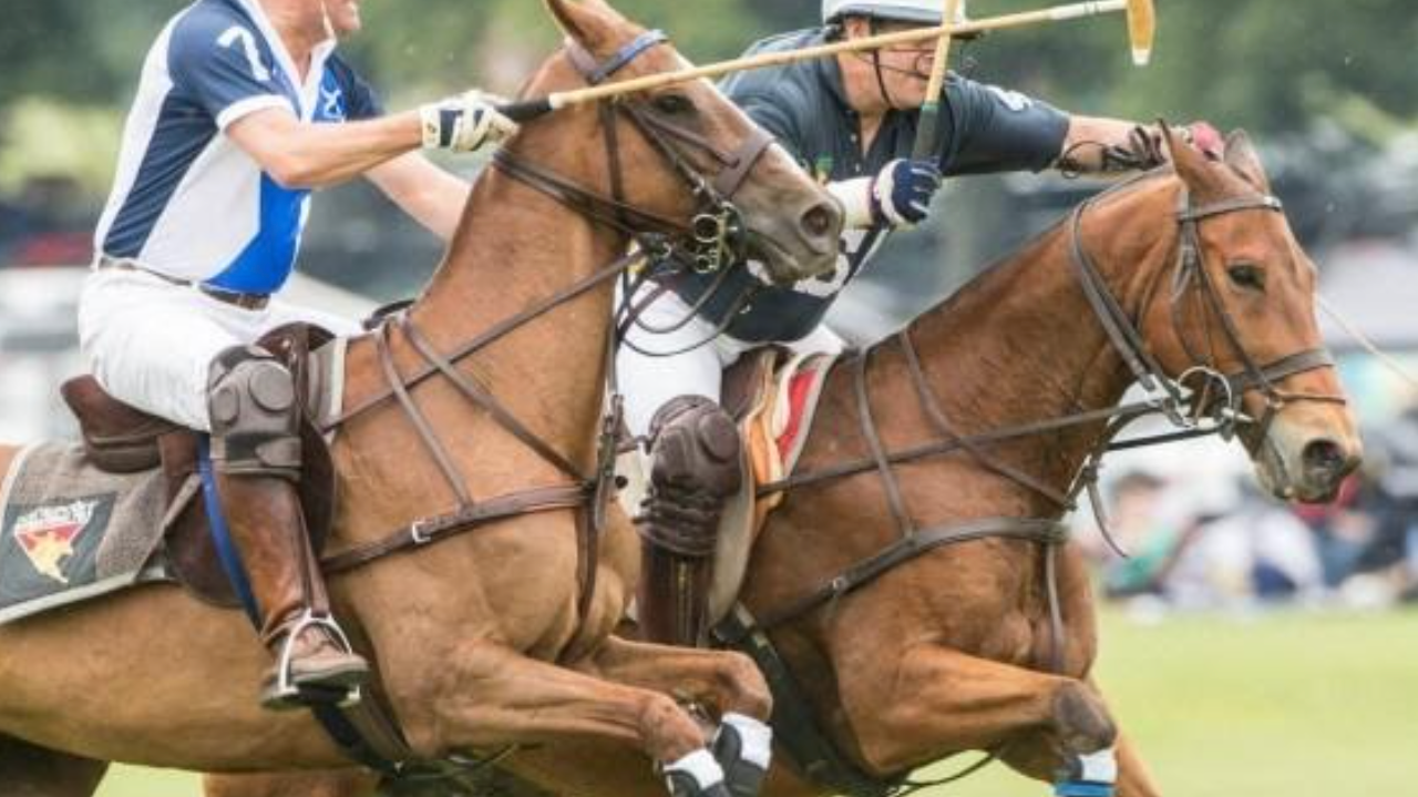 The Origin and History of the Polo Shirt