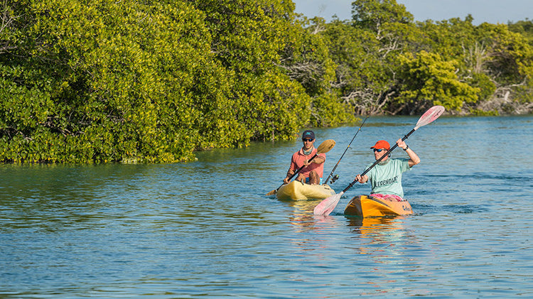 The Cure for the Monday Blues