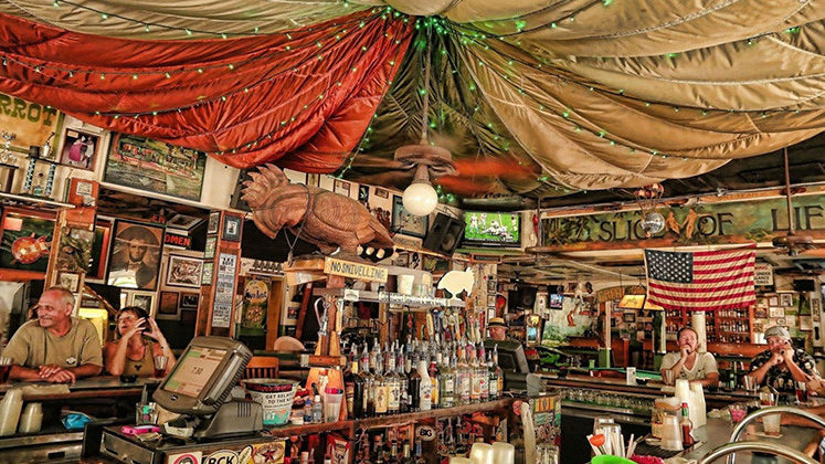 A Sunny Place for Shady People