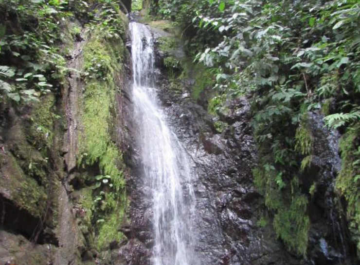 Our Favorite Escapes