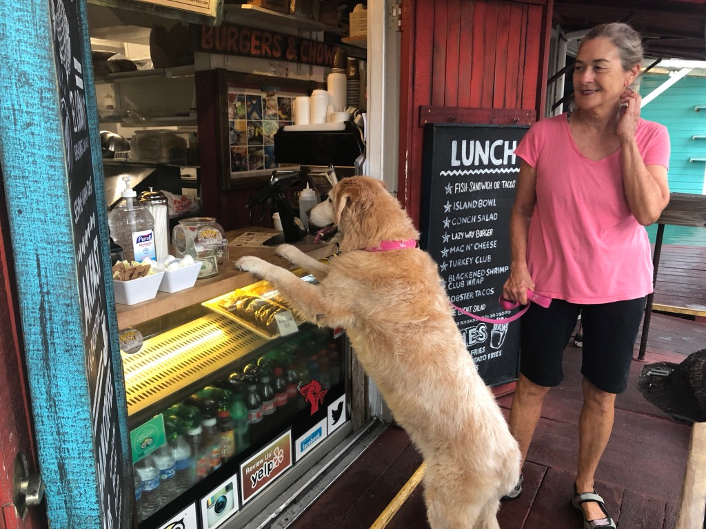 29 Favorites about Key West.