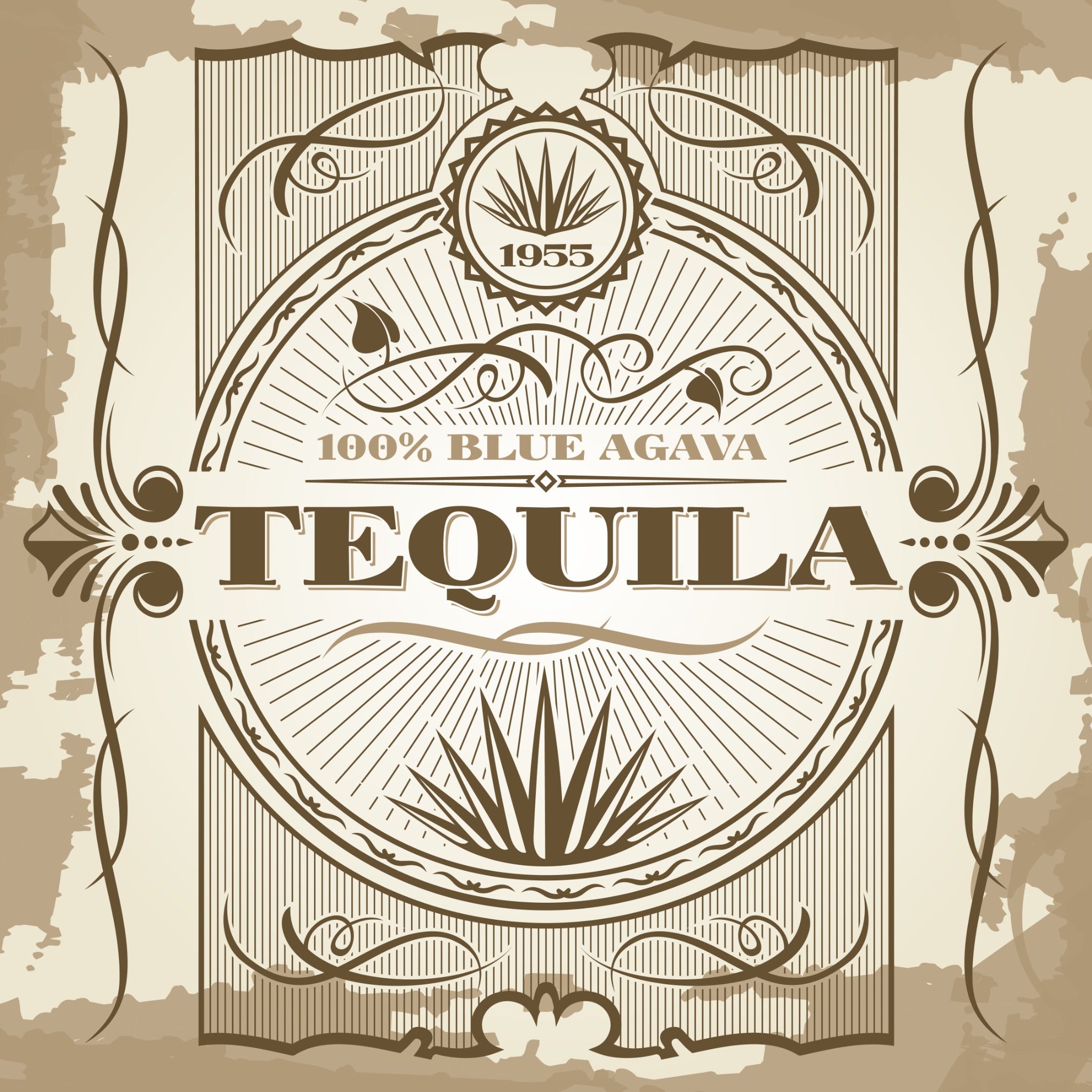 Tasty Tequila Cocktail Recipes