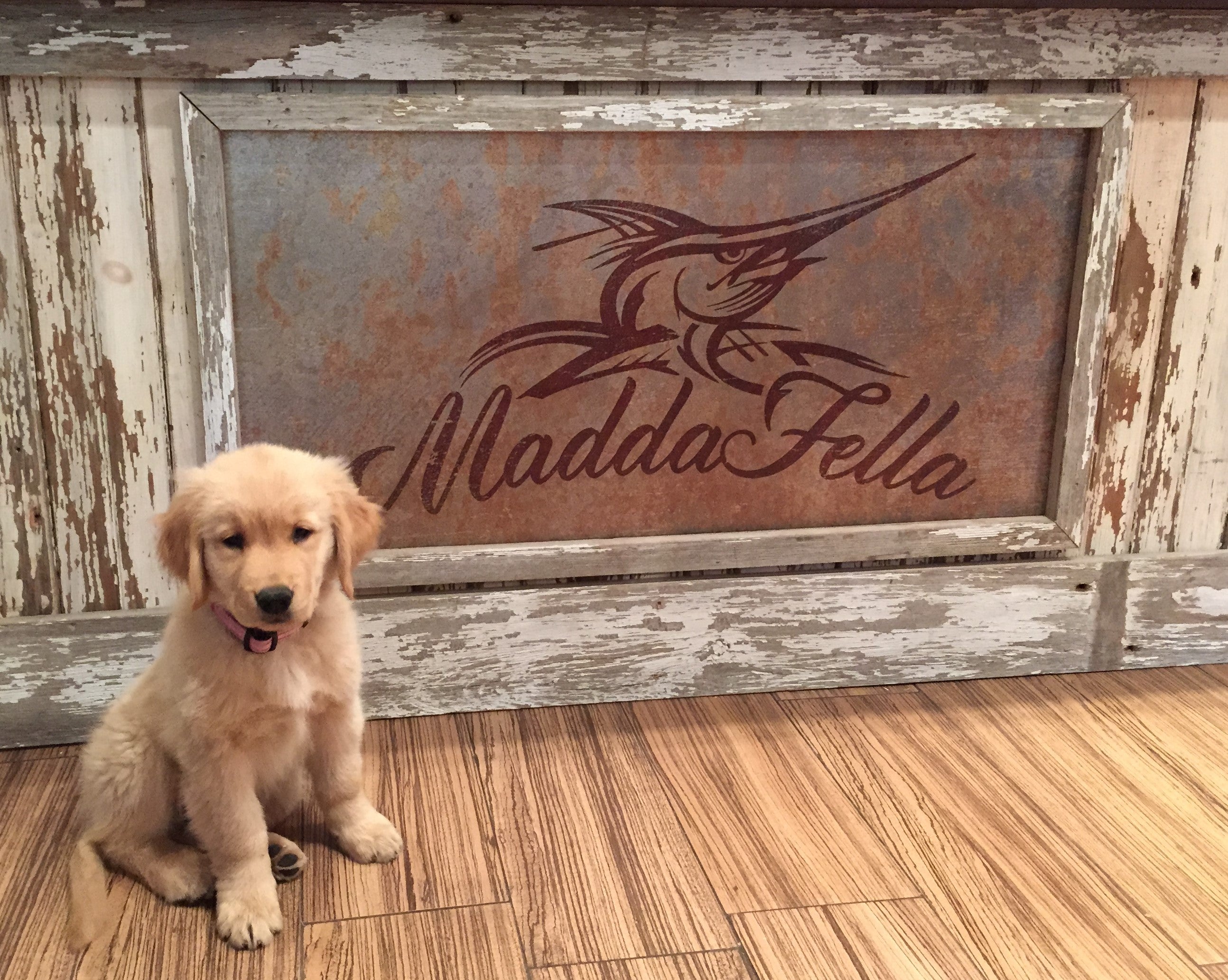 Celebrate Small Business this Weekend!