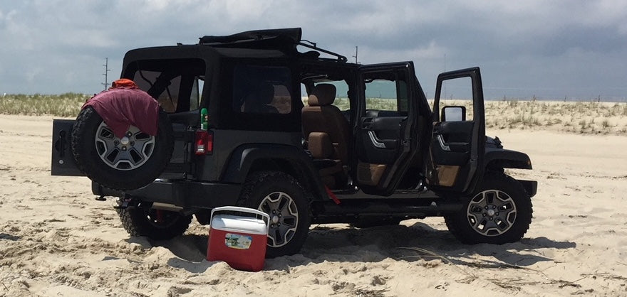 A jeep, a beach, a pooch and…