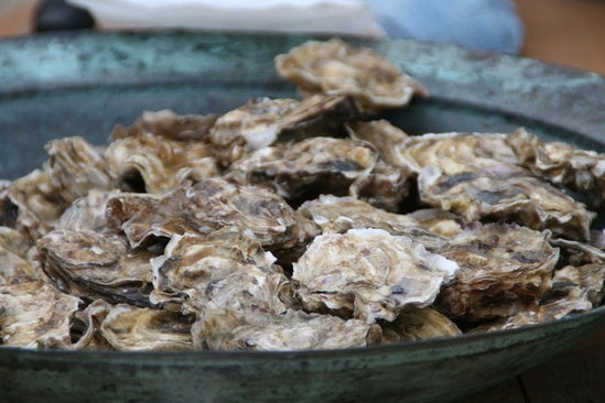 The Power of the Oyster