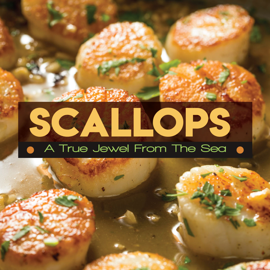 Everything You Need to Know About Scallops