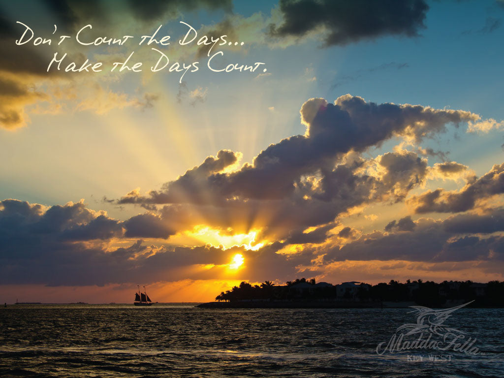 Don't Count The Days, Make The Days Count