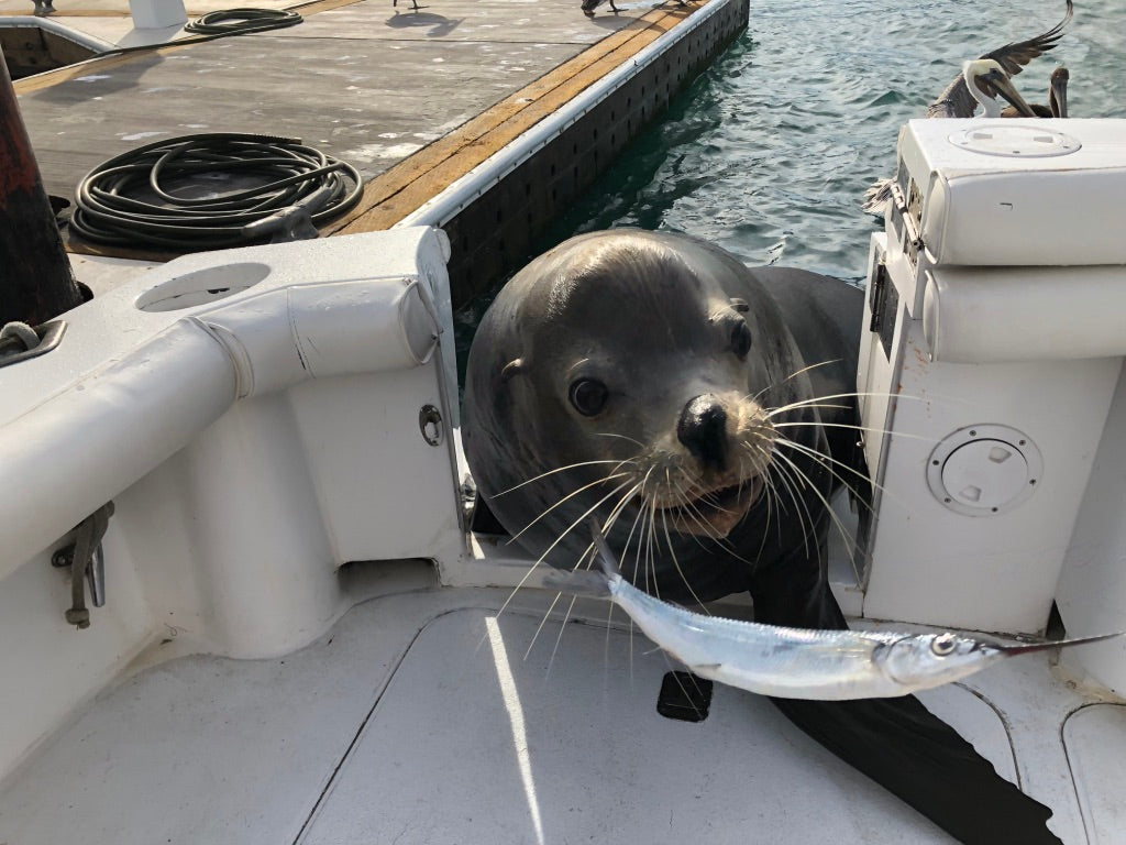 Whew…this didn’t end well.