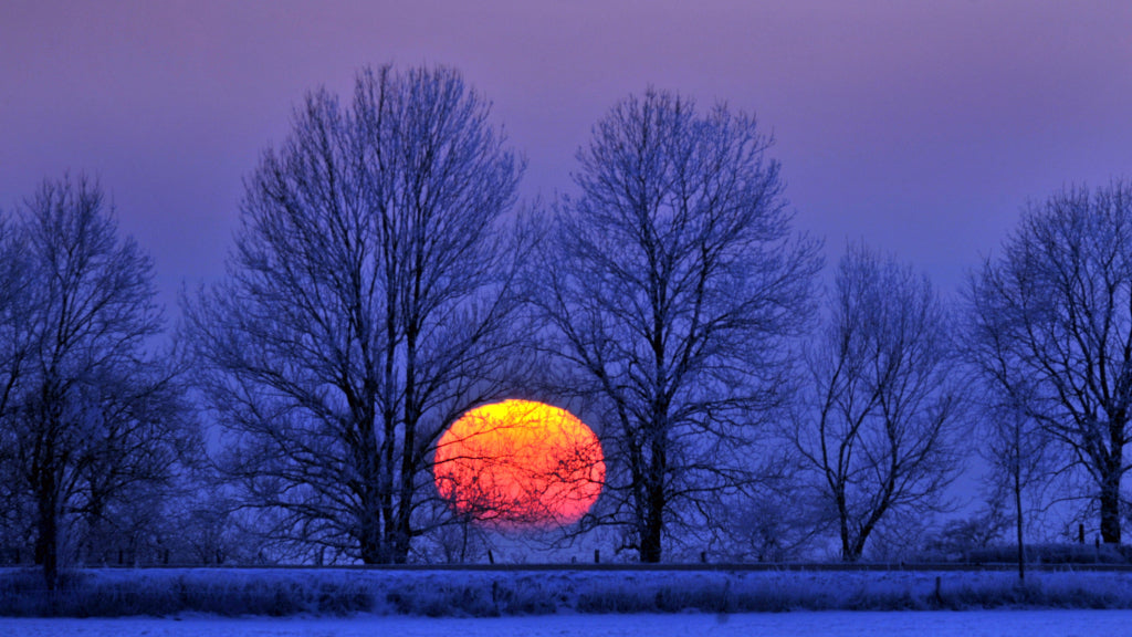 Winter Solstice Celebrations