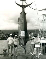 Pacific Blue Marlin