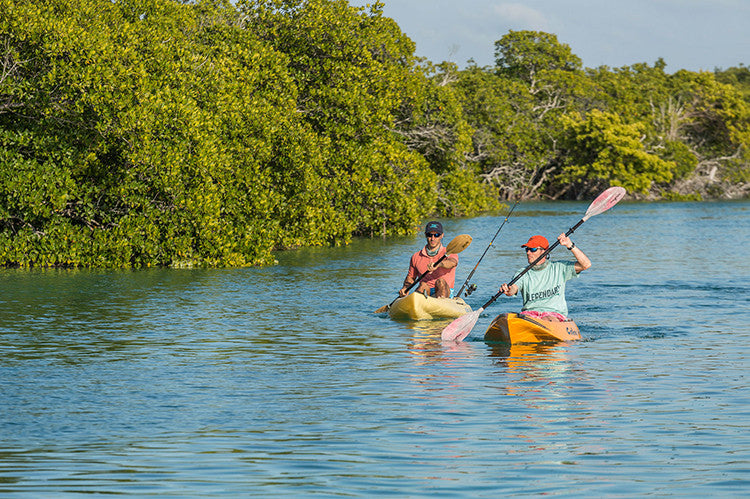 The Cure for the Monday Blues